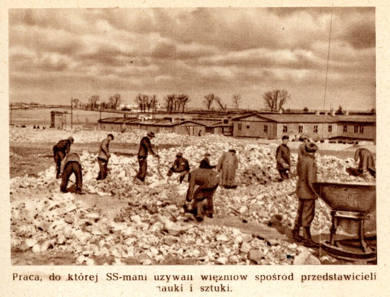 Więźniowie przy pracy naprzeciwko baraku Kasyna SS. W centrum w głębi tzw. „biały domek”. Drzewa widoczne na horyzoncie wskazują przebieg drogi piaseckiej. Więźniowie pracują przy rozbijaniu i rozrzucaniu gruzu.