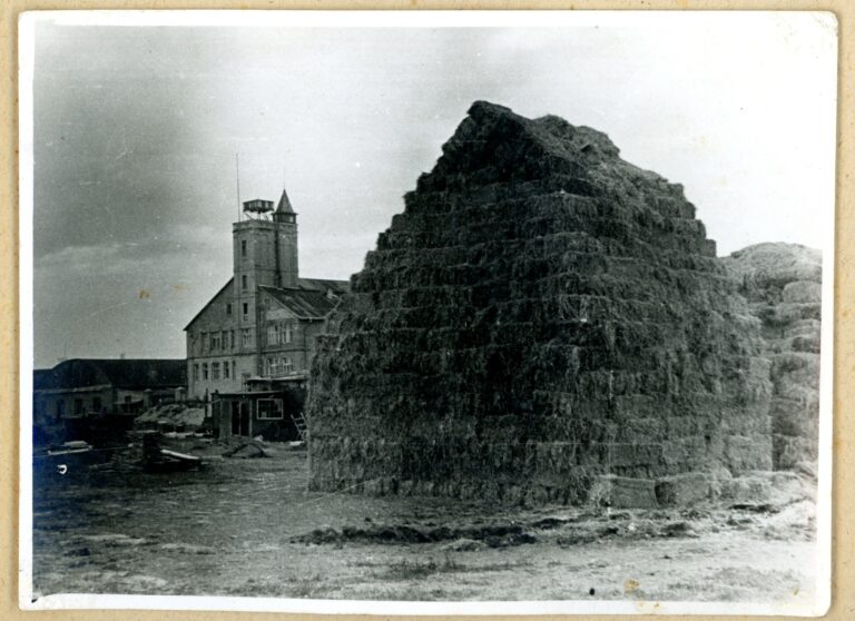 Flugplatz - teren byłej wytwórni samolotów (LWS) i lotniska. Od lewej widoczny fragment hangarów lotniczych przy ul. Wrońskiej, dalej wieża na lotnisku oraz dwie sterty siana. Między wieżą a bliższą stertą niewielki drewniany budynek oraz stos desek.